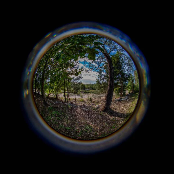 Circular Fish Eye Lens Shady Trees Landscape Cloudy Blue Sky — Φωτογραφία Αρχείου