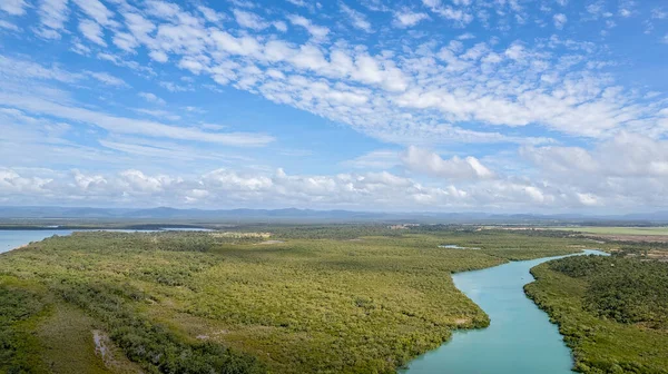 Luftaufnahme Über Einem Blauen Wasserbach Zum Ozean Inmitten Einer Mangrovenbuschland — Stockfoto