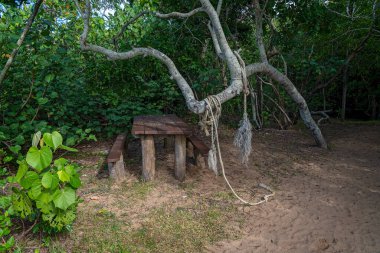 Kırsal bir masa ve sahilde oturmuş halatla asılmış eğri büğrü bir ağacın altında.