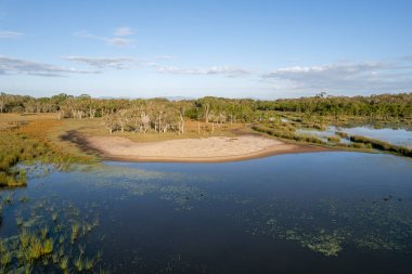 Ormanda kumlu bir sahil. Suda vahşi yaşam var.