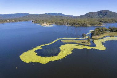 Avustralya 'daki Teemburra Barajı Havalimanı, sığır otlağı ve ölü ağaçlarla kaplı arazi özelliklerinin etrafında yosunların oluştuğunu gösteriyor.