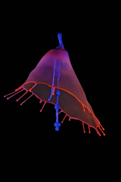 주황색 파란색 의물에 모양의 물방울 은위와 아래에서 발사되어 충돌하여 바탕을 — 스톡 사진