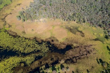 Sulak alanlar ve çalılıkların sarı yeşil renkte olduğu hava soyut manzara deseni