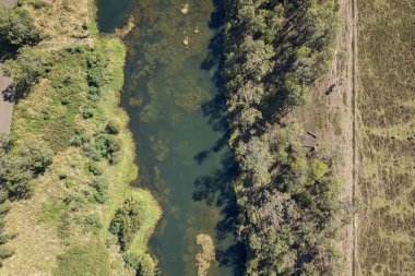 An aerial landscape of the patterns in the sand, the texture in the water, and the trees of a country creek