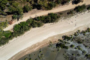 Kum ve çamur düzlüklerini gösteren alçak gelgitte kıyı şeridi havası. Cape Hillsborough, Queensland, Avustralya