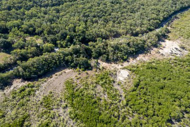 Dalgalar alçaldığında mangrovlar üzerinde ve plaja giden bir turist yolunun yanında hava manzarası. Cape Hillsborough, Queensland, Avustralya