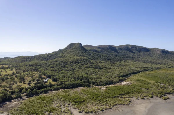 Aerea Sopra Mangrovie Sulla Spiaggia Con Bassa Marea Verso Una — Foto Stock