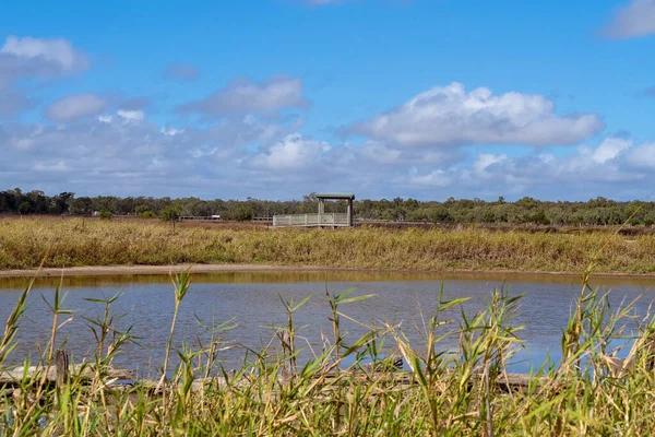Watching Platform Wetlands Reserve Observing Birds Animals Natural Environment — Stock Photo, Image