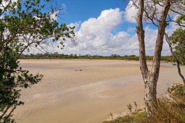 Bir derenin üst kısımlarında alçak gelgitte kumlu zemini ve çevresini gösteren bulutlu mavi bir gökyüzünün altında.