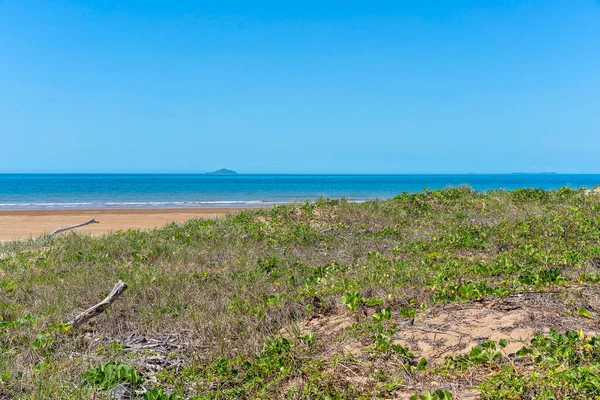 Sabbia Ricoperta Vegetazione Sulla Spiaggia Accanto All Oceano Blu Cielo — Foto Stock