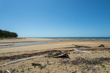Alçak hava manzarası insansız hava aracı sürüklenen dallarla kumlu bir plajda kalkışa hazırlanıyor.