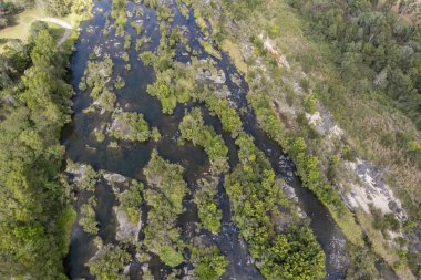 Çalı ve kayalar arasında akan su ile sığ bir nehir yatağının hava manzarası.