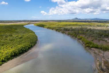 Çamurlu su, tuzlu su, kıyı deresi, sık yeşil çalılıkların etrafında dönüyor.
