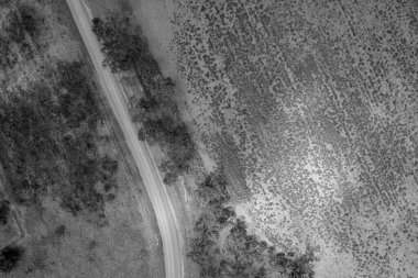 Kırsal bir arazide virajlı toprak yol, yüksek perspektifli dron hava aracı, monoton görüntü