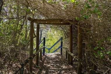 Kıyı sarmaşığı kaplı kereste kemeri ve merdivenlerle sahile iniyor.