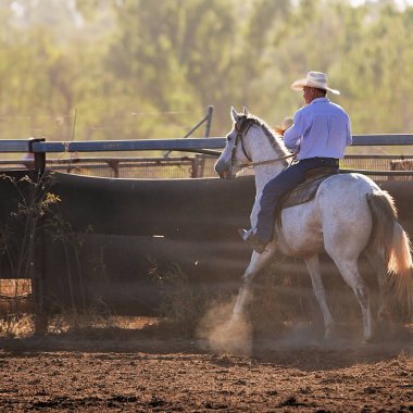 Geniş kenarlı şapkalı stokçu gri bir atın üzerinde oturur ve bir sabah kampı taslak oturumunda arena hareketini gözlemler..