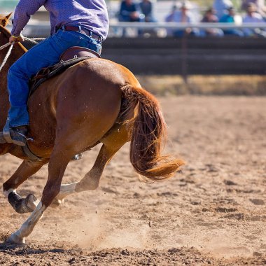 Dörtnala koşan kestane atını arkadan dinamik bir çekim yaparak kas tanımı, kuyruk ve toynaklardan uçan toprak üzerinde yoğunlaşıyor..