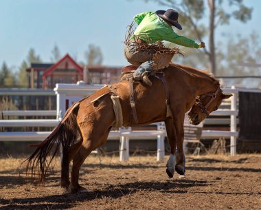 Aksiyon rodeo sahnesi, tozlu bir arenada güçlü bir ata binerken bir kovboyun tutunduğunu gösteriyor. Batı sporu, rekabet, risk ve kırsal yaşam tarzı kavramları için ideal.