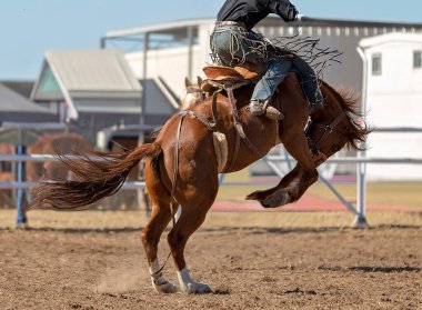 Sürücü tozlu bir rodeo arenasında kontrolü sağlarken, bir atın sıçrayışının yan görüntüsü. Batı sporu ve yüksek enerji yarışmasının editoryal ve ticari temaları için ideal.