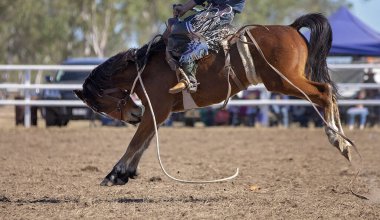Rodeo Bronc Tekmesi Sürücü Tutuşuyla