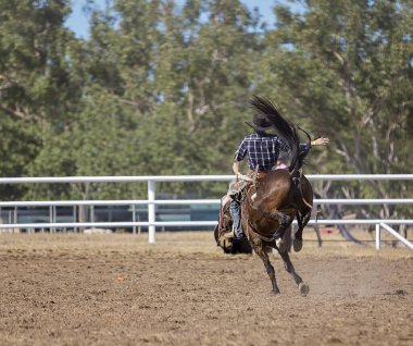Bronc Rider, Atlı At 'a yaslanıyor