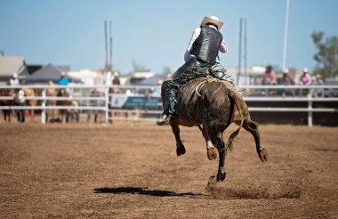 Bir rodeo binicisi, boğa havada salınırken sıkıca tutunarak güneş alan bir alanda ham güç ve atletizm kontrolü sergiliyor..