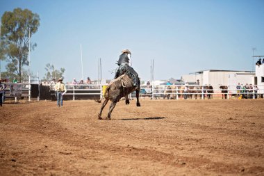 Etrafı izleyiciler ve kırsal manzarayla çevrili geniş bir rodeo sahasında boğaya binen bir kovboyun geniş açılı görüntüsü..