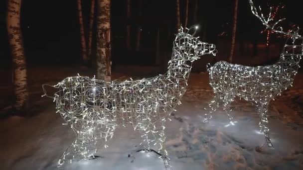 鹿ガーランド新年ストリート装飾 クリスマス — ストック動画