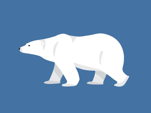 Oso polar ilustración dibujada a mano, estilo plano — Vector de stock