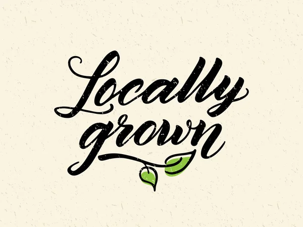 Locally grown hand drawn brush lettering — Stock Vector