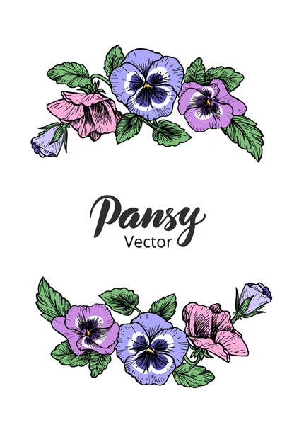 Marco con flores pansy dibujadas a mano — Vector de stock