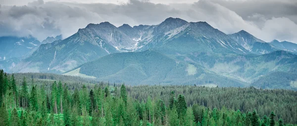 Beautiful mountains landscape in Carpathian — Stock Photo, Image