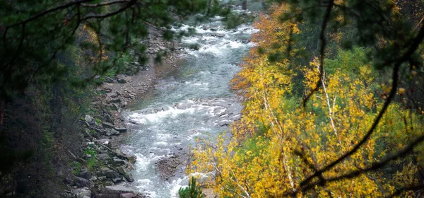 Mountain river with autumn leaves. Carpathian, Ukraine — Stock Photo, Image