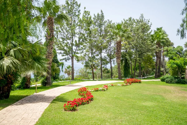 Gångväg i en vacker park med palmer — Stockfoto