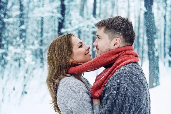 Retrato de casal feliz no parque de inverno — Fotografia de Stock