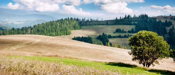 Paisagem de colinas e montanhas — Fotografia de Stock