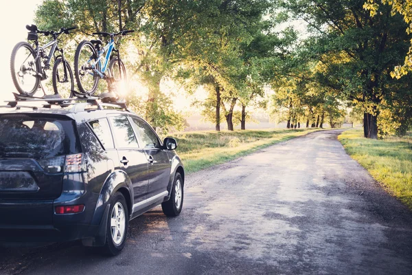 Carro com bicicletas na estrada da floresta — Fotografia de Stock