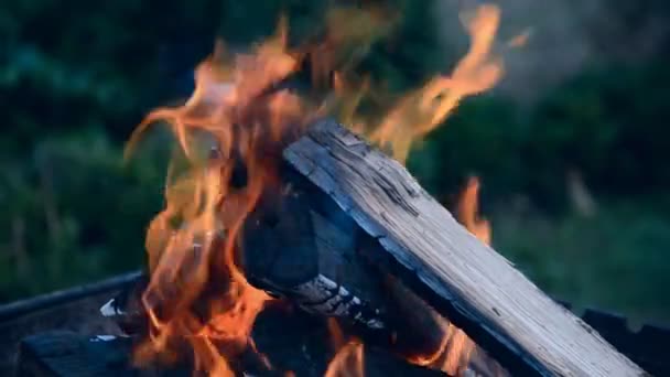 Cresta de la llama en la quema de madera en la chimenea — Vídeo de stock
