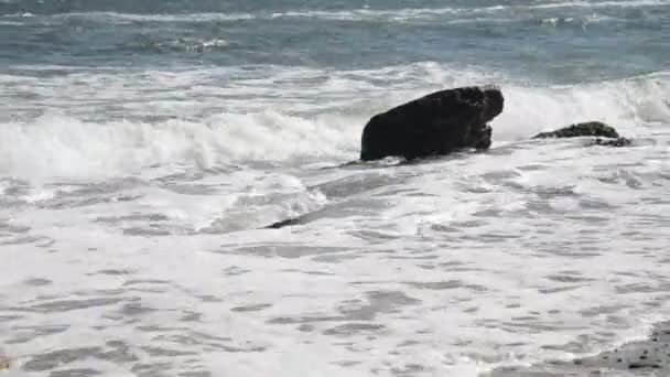 Coste del mar con olas, arena y piedras — Vídeos de Stock