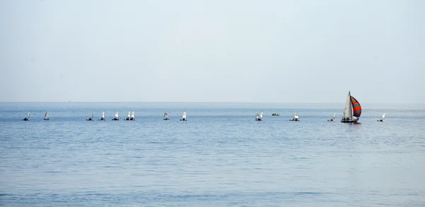 海上帆船集团帆船竞赛 — 图库照片