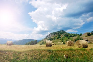 bir tarlada saman balyaları