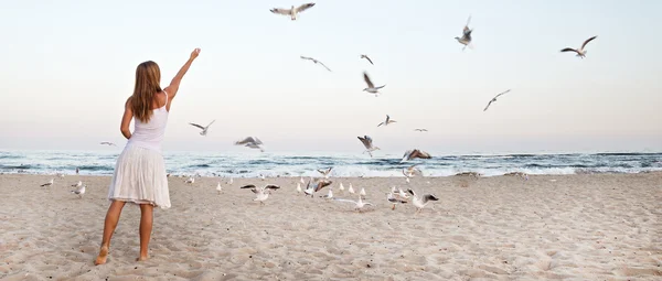 Donna in spiaggia stanno nutrendo gabbiani — Foto Stock