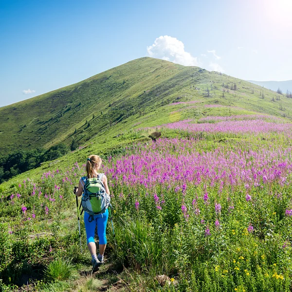 Young woman hiking in the mountains — Stock Photo, Image