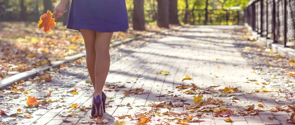 Piernas de mujer en el parque — Foto de Stock