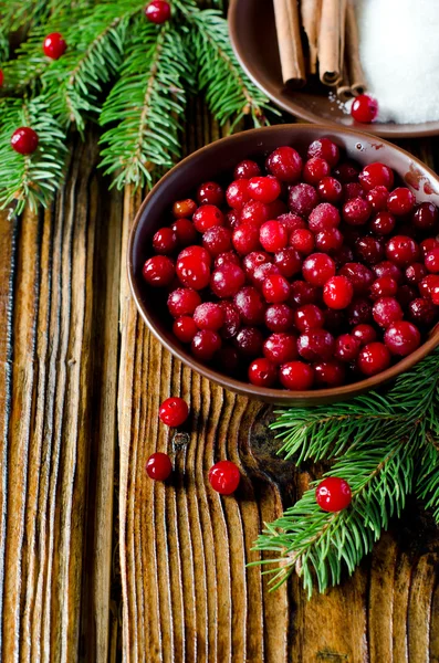 Cranberries, sugar and cinnamon — Stock Photo, Image