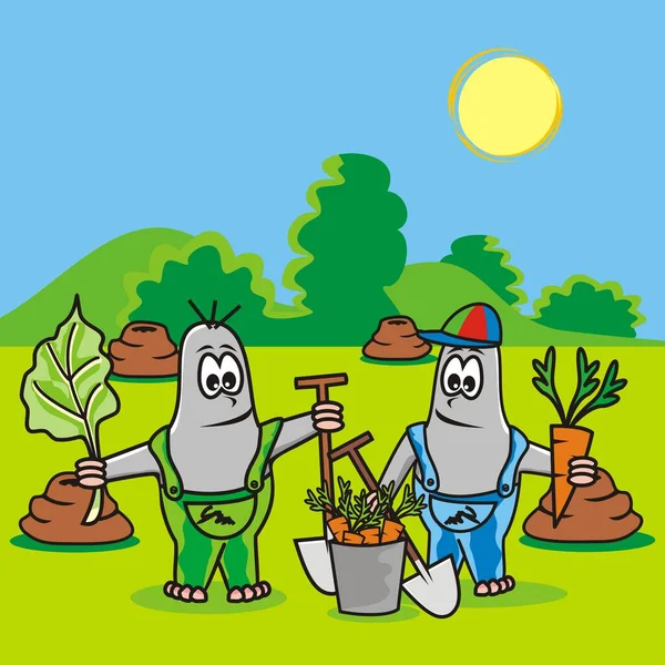 Dois Moles Jardineiros Ilustração Humorística Vetorial — Vetor de Stock