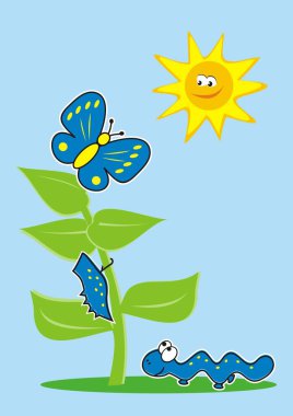 sahne kelebeği, eğitici vektör illüstrasyonu