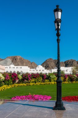 Şaşırtıcı vaha Ortadoğu Muscat, Umman
