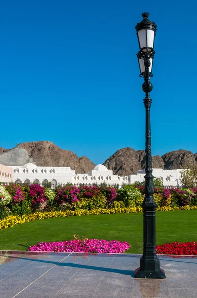 Incredibile oasi in Medio Oriente Moscato, Oman — Foto Stock