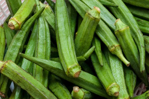 Pile of fresh Okra — Stock Photo, Image